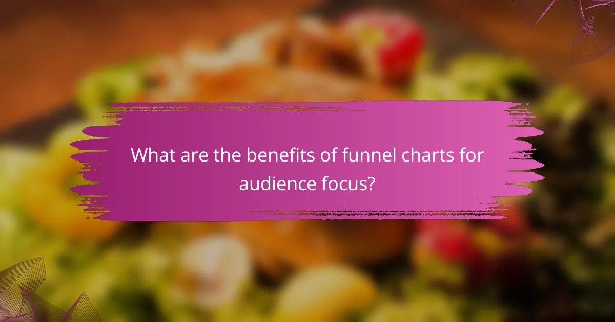 What are the benefits of funnel charts for audience focus?
